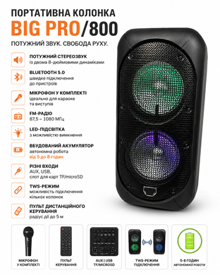 Колонка переносная Big Pro 800