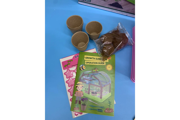 Набор для опытов Домашняя теплица Home made plant PINK