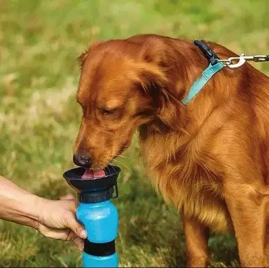 Поїлка для тварин Aqua Dog ADG-01